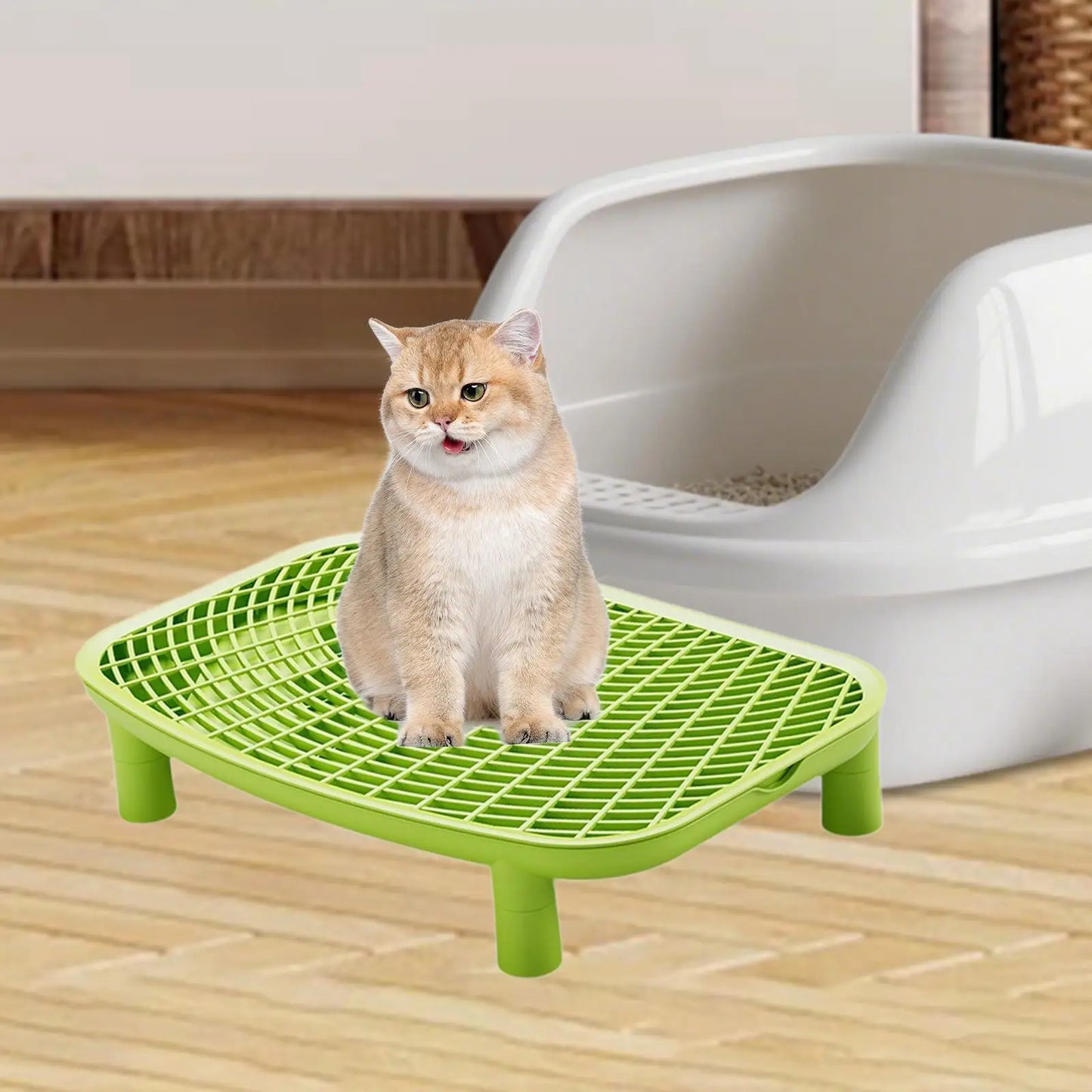 Cat Litter Ramp Plastic Kitten Litter Box Footboard Anti-carrying Cat Litter Pad for Cat Kitten Pet Cleaning Supplies