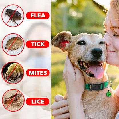 Nylon Effective Kill Insect Mosquitoes Outdoor Dog Collar Neck Strap Pet Suppies Anti Flea Mite Tick